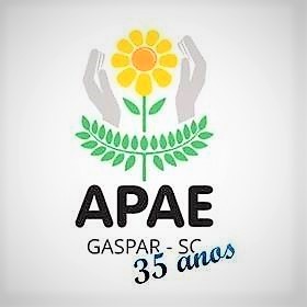Câmara aprova aumento de repasse para APAE
