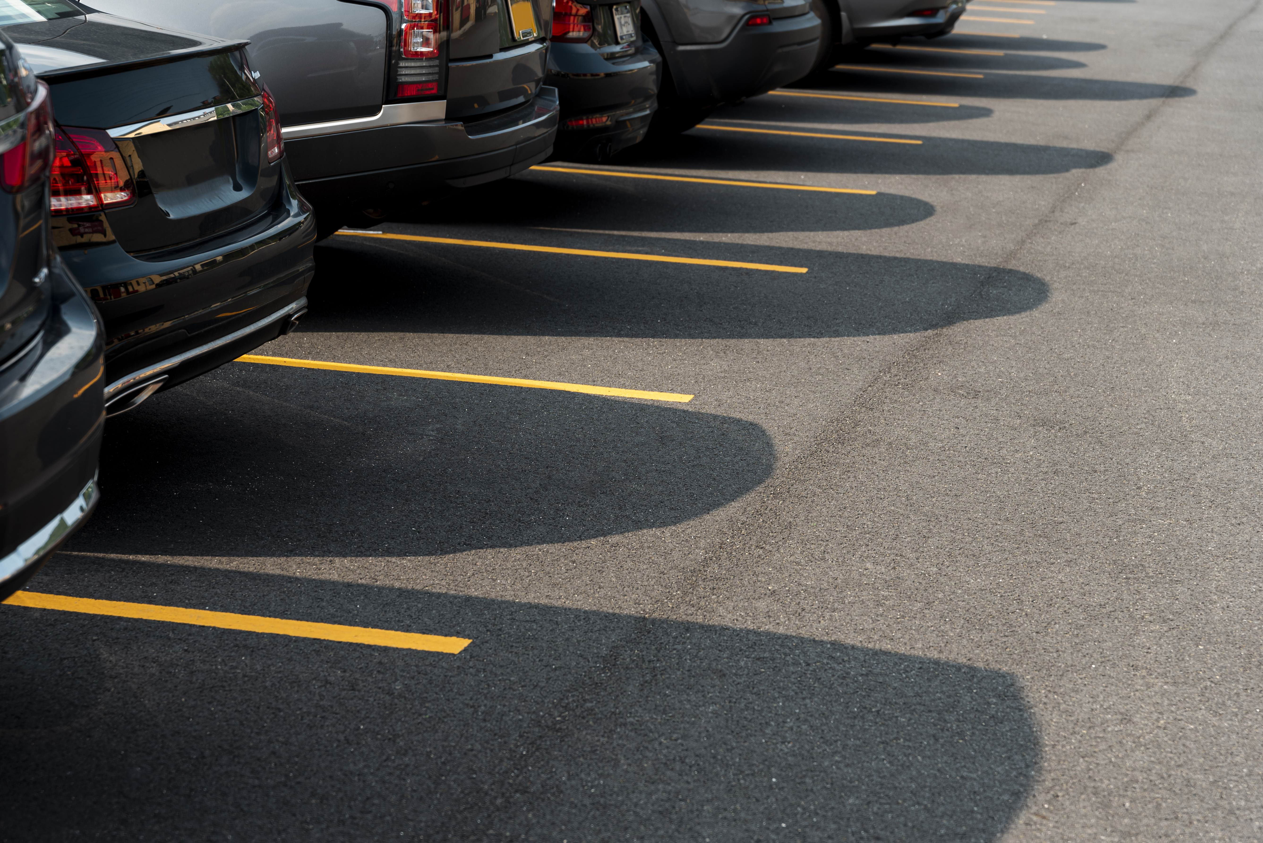 Emenda garante apenas às gestantes reserva de 5% das vagas em estacionamentos e na “Área Azul”