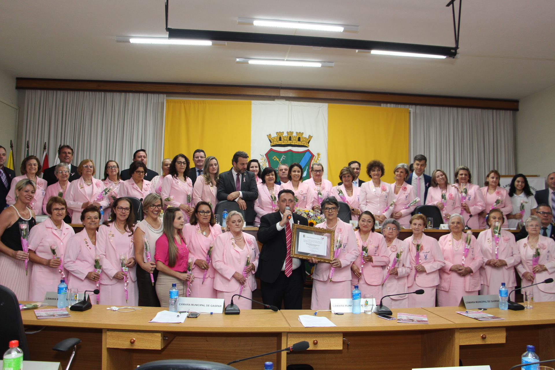 Câmara homenageia 30 anos da Rede Feminina de Combate ao Câncer de Gaspar