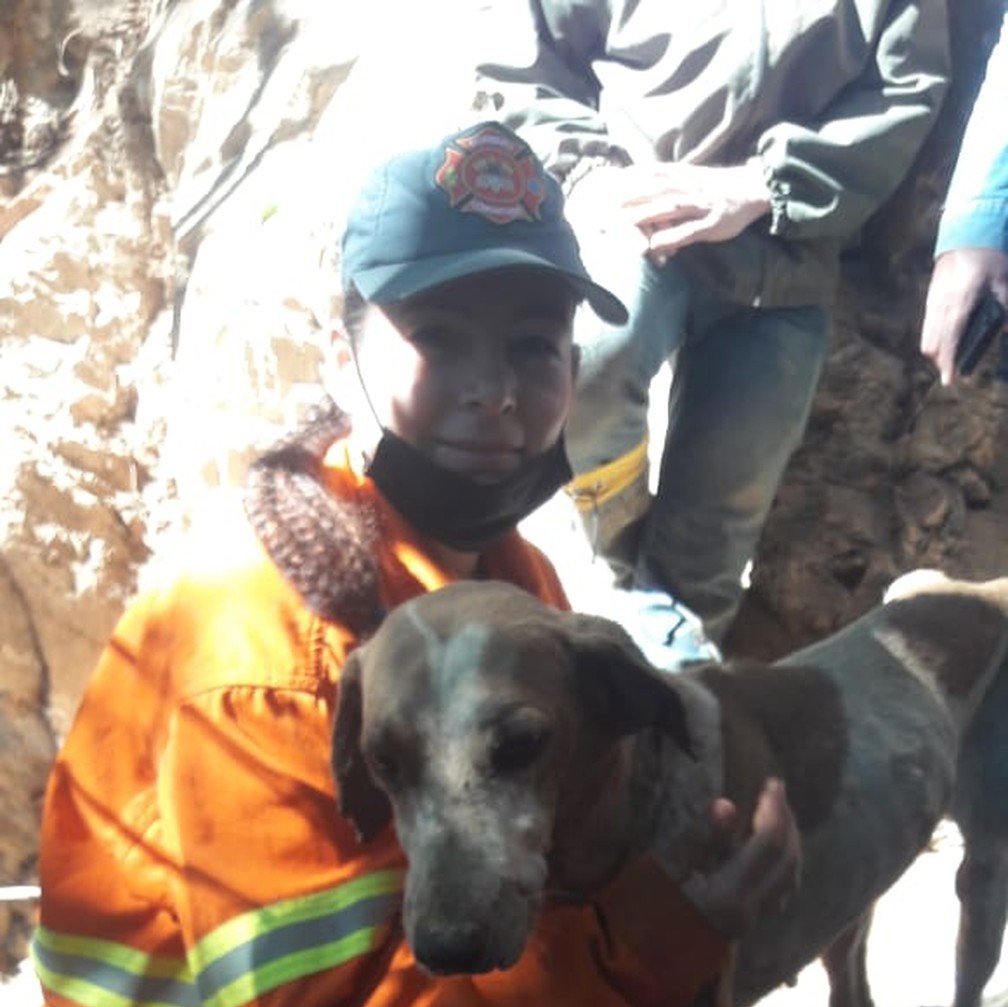 Câmara aprova homenagem a bombeiros que resgataram cão preso em rocha por nove dias